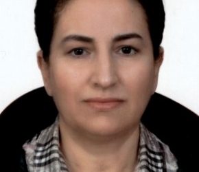 Avukat Süreyya Karagöl