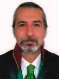 Avukat Ertan Yaşar