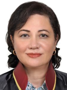 Avukat Pelin Kocahan