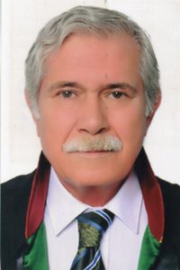 Avukat Mehmet Levent Kaya